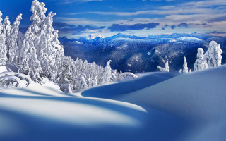 Snowy mountain trees background blue 6 - beautiful landscape free wallpaper