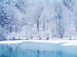 Snowy lake trees forest bench - a matte painting free wallpaper