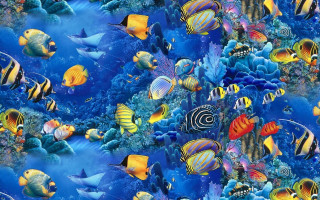 Fish swimming ocean coral reef 8 - ernst haeckel free wallpaper