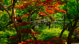 Bridge park trees flowers light - impressionist free wallpaper
