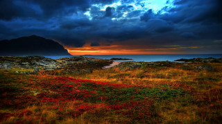 Field mountain water red flower - a red flower in the foreground free wallpaper