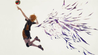 Woman flying ball feathers air - armin hansen free wallpaper