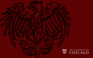 Black red eagle chicago wings - academic art free wallpaper