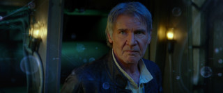 Man leather jacket serious look 13 - his face and shoulders free wallpaper