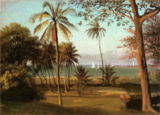 Tropical sailboat palmtrees autumn fireworks - tropical free wallpaper