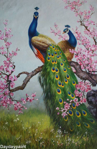 Peacocks tree branch pink flowers - free bird wallpaper