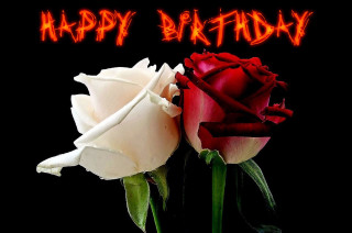 Roses happy birthday gothic fire - two rose free wallpaper