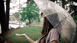 Woman umbrella park rainy day - a woman holding free wallpaper