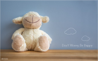 Stuffed animal wooden table blue - animal free wallpaper