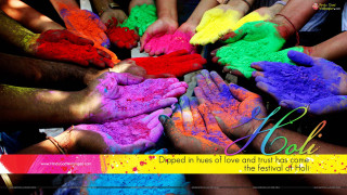 Colored powder hands group kalala - vivid free wallpaper