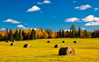 Hay bales autumn foliage trees - dick bickenbach free wallpaper