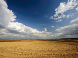 Large field cloudy sky dirt - a large field free wallpaper