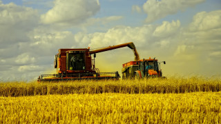 Combine harvesters wheat field blue - heavy grain free wallpaper