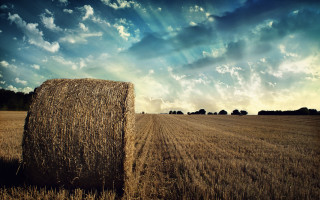 Hay bale field cloudy sky - heavy grain free wallpaper