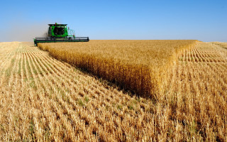 Combine harvesting wheat field tractor - heavy grain free wallpaper
