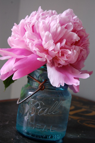 Pink flower mason jar table - still free wallpaper