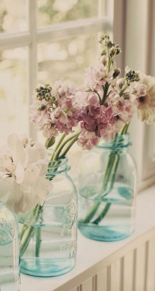 Three vases flowers window sill - near free wallpaper