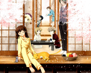 Woman sitting table mirror cat - a table in front free wallpaper