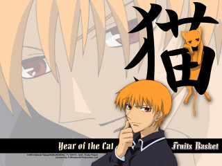 Man orange hair cat on - another cat free wallpaper
