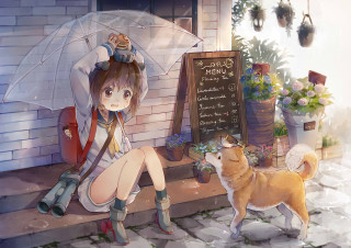 Girl sitting ledged umbrella dog - a ledge free wallpaper
