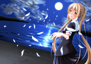 Anime girl beach night fullmoon - a full moon in the background free wallpaper