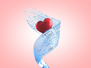 Heart glass vase water pink 3 - a glass vase free wallpaper