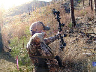 Camouflage man archery woodland cityscape - dorothy hood free wallpaper