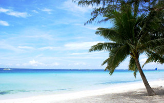 Palm tree beach boat blue 3 - ding guanpeng free wallpaper