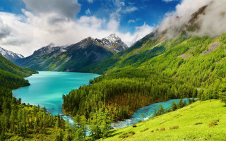 Mountain lake green trees cloudy 3 - green tree free wallpaper