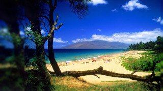 Beach tree mountain clouds magic - free beach wallpaper