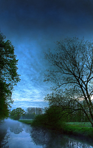 Tree river night blue sky - tonalism free wallpaper