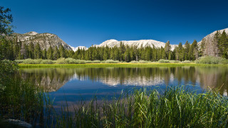 Lake mountains tallgrass forest sky - ansel adams free wallpaper