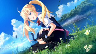 Girl sitting grass hill cat 2 - a cat free wallpaper