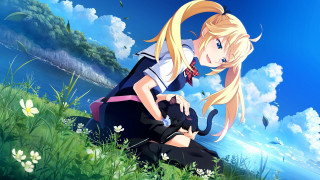 Girl sitting grass hill cat - a blue sky free wallpaper