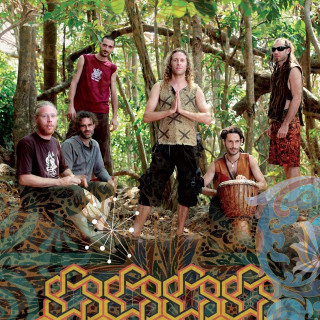 Group people woods trees plants - ella guru free wallpaper