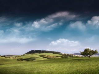 Green field tree hill clouds - a green field free wallpaper