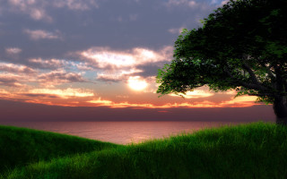 Tree hill water sunset pink - a pink sky free wallpaper