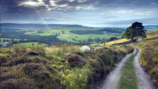 Dirt road lush green countryside - the side of the road free wallpaper