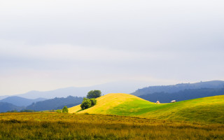 Grassy hill trees mountains background - a grassy hill free wallpaper