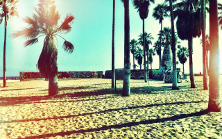 Sandy beach palm trees bench - a sandy beach free wallpaper