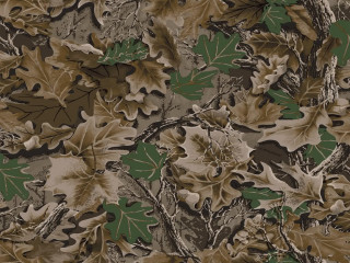 Camouflage background leaves branches brown - a black border free wallpaper
