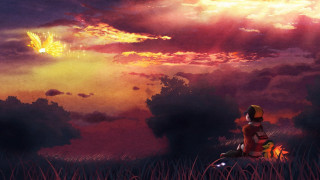 Person sitting field watching bird - a sunset in the background free wallpaper