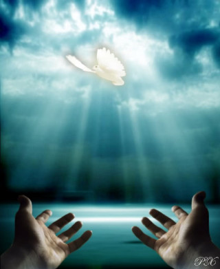 Hands reaching dove flying sky - dionisiu free wallpaper