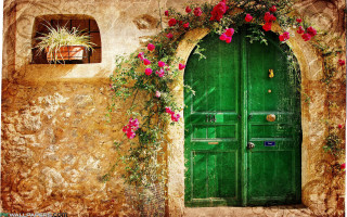Green door flower vine potted - a green door free wallpaper