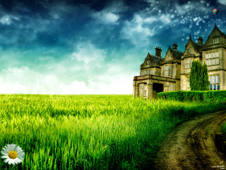 Large house field grass flower - a sky free wallpaper for desktop