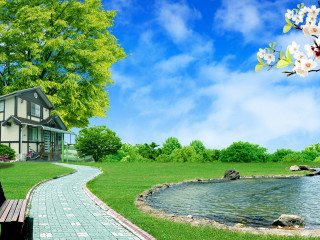 Woman bench house lake tree - a bench in front free wallpaper