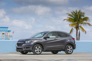 Gray car blue wall palm - allen tupper true free wallpaper