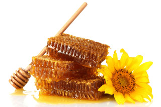 Honey comb sunflower white background - fructose free wallpaper
