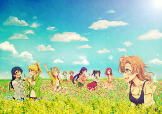 People field flowers sky background - a field of flowers free wallpaper