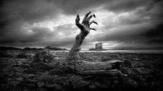 Tree dirt water castle cloudy - a castle in the background free wallpaper